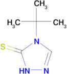 4-tert-butyl-4,5-dihydro-1H-1,2,4-triazole-5-thione