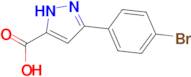 3-(4-bromophenyl)-1H-pyrazole-5-carboxylic acid