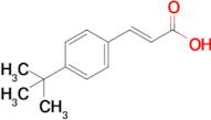 3-(4-tert-butylphenyl)acrylic acid