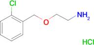 {2-[(2-chlorobenzyl)oxy]ethyl}amine hydrochloride