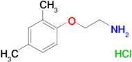 [2-(2,4-dimethylphenoxy)ethyl]amine hydrochloride