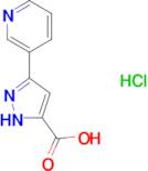 3-(3-pyridinyl)-1H-pyrazole-5-carboxylic acid hydrochloride