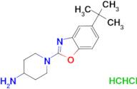 1-(5-tert-butyl-1,3-benzoxazol-2-yl)-4-piperidinamine dihydrochloride