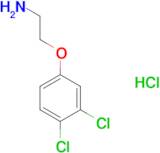 [2-(3,4-dichlorophenoxy)ethyl]amine hydrochloride