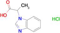 2-(1H-benzimidazol-1-yl)propanoic acid hydrochloride