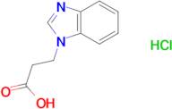 3-(1H-benzimidazol-1-yl)propanoic acid hydrochloride