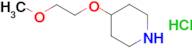 4-(2-methoxyethoxy)piperidine hydrochloride