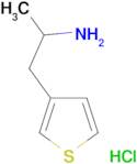 [1-methyl-2-(3-thienyl)ethyl]amine hydrochloride