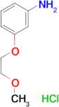 [3-(2-methoxyethoxy)phenyl]amine hydrochloride