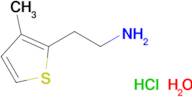 [2-(3-methyl-2-thienyl)ethyl]amine hydrochloride hydrate