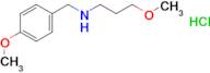 (4-methoxybenzyl)(3-methoxypropyl)amine hydrochloride