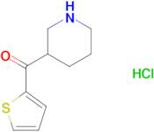 3-piperidinyl(2-thienyl)methanone hydrochloride