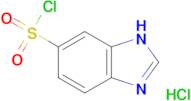 1H-Benzimidazole-5-sulfonyl chloride hydrochloride
