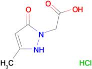 (3-methyl-5-oxo-4,5-dihydro-1H-pyrazol-1-yl)acetic acid hydrochloride