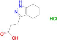 3-(4,5,6,7-tetrahydro-2H-indazol-3-yl)propanoic acid hydrochloride