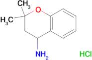 (2,2-dimethyl-3,4-dihydro-2H-chromen-4-yl)amine hydrochloride