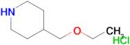 4-(ethoxymethyl)piperidine hydrochloride