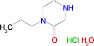 1-propyl-2-piperazinone hydrochloride hydrate