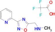 N-methyl-1-[3-(2-pyridinyl)-1,2,4-oxadiazol-5-yl]methanamine trifluoroacetate
