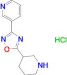3-[5-(3-piperidinyl)-1,2,4-oxadiazol-3-yl]pyridine hydrochloride