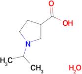 1-isopropyl-3-pyrrolidinecarboxylic acid hydrate