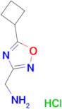 [(5-cyclobutyl-1,2,4-oxadiazol-3-yl)methyl]amine hydrochloride