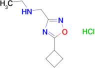 N-[(5-cyclobutyl-1,2,4-oxadiazol-3-yl)methyl]ethanamine hydrochloride