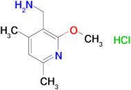 [(2-methoxy-4,6-dimethyl-3-pyridinyl)methyl]amine hydrochloride