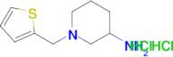 1-(2-thienylmethyl)-3-piperidinamine dihydrochloride