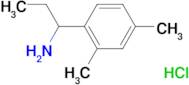 [1-(2,4-dimethylphenyl)propyl]amine hydrochloride