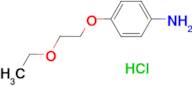 4-(2-ethoxyethoxy)aniline hydrochloride