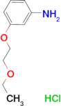 [3-(2-ethoxyethoxy)phenyl]amine hydrochloride