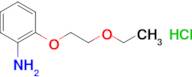 [2-(2-ethoxyethoxy)phenyl]amine hydrochloride