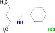 N-(cyclohexylmethyl)-2-pentanamine hydrochloride