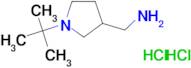 [(1-tert-butyl-3-pyrrolidinyl)methyl]amine dihydrochloride