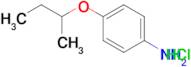 (4-sec-butoxyphenyl)amine hydrochloride