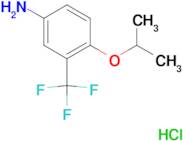 [4-isopropoxy-3-(trifluoromethyl)phenyl]amine hydrochloride