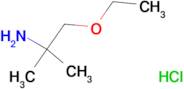 (2-ethoxy-1,1-dimethylethyl)amine hydrochloride