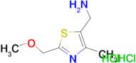 {[2-(methoxymethyl)-4-methyl-1,3-thiazol-5-yl]methyl}amine dihydrochloride