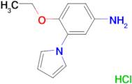 [4-ethoxy-3-(1H-pyrrol-1-yl)phenyl]amine hydrochloride