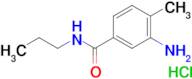 3-amino-4-methyl-N-propylbenzamide hydrochloride