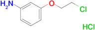 [3-(2-chloroethoxy)phenyl]amine hydrochloride