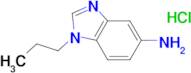1-propyl-1H-benzimidazol-5-amine hydrochloride