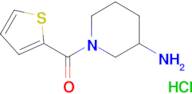 1-(2-thienylcarbonyl)-3-piperidinamine hydrochloride