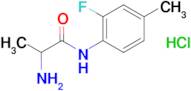 N~1~-(2-fluoro-4-methylphenyl)alaninamide hydrochloride