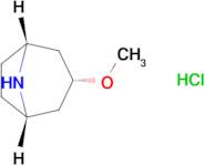 (3-endo)-3-methoxy-8-azabicyclo[3.2.1]octane hydrochloride