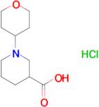 1-(tetrahydro-2H-pyran-4-yl)-3-piperidinecarboxylic acid hydrochloride