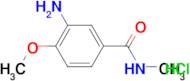 3-amino-4-methoxy-N-methylbenzamide hydrochloride