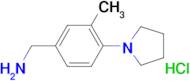 [3-methyl-4-(1-pyrrolidinyl)benzyl]amine hydrochloride