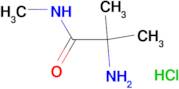 N~1~,2-dimethylalaninamide hydrochloride